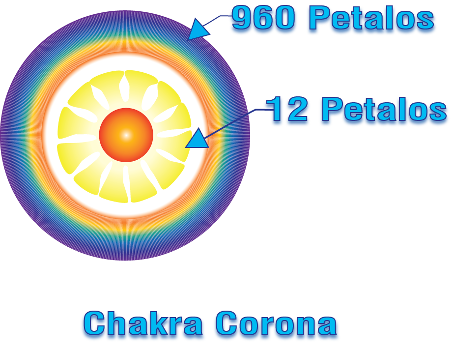 Crystal Healing, Pranic Healing, Alternative Medicine, Holistic Approach, Meditation, Reiki, Yoga, Chakras, Extractors, Laser, Energy Healing, Alternative Medicine, Budha, Sanación Pránica, SP972